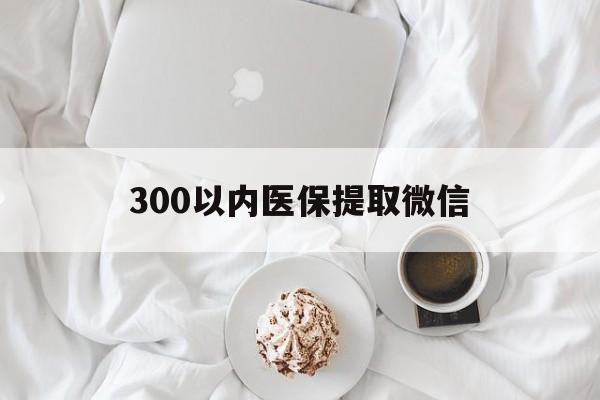 白银300以内医保提取微信(300以内医保提取微信离职可以用吗)